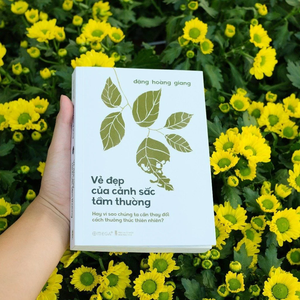 Vào áo áo của các cơn sóng tầm thường
